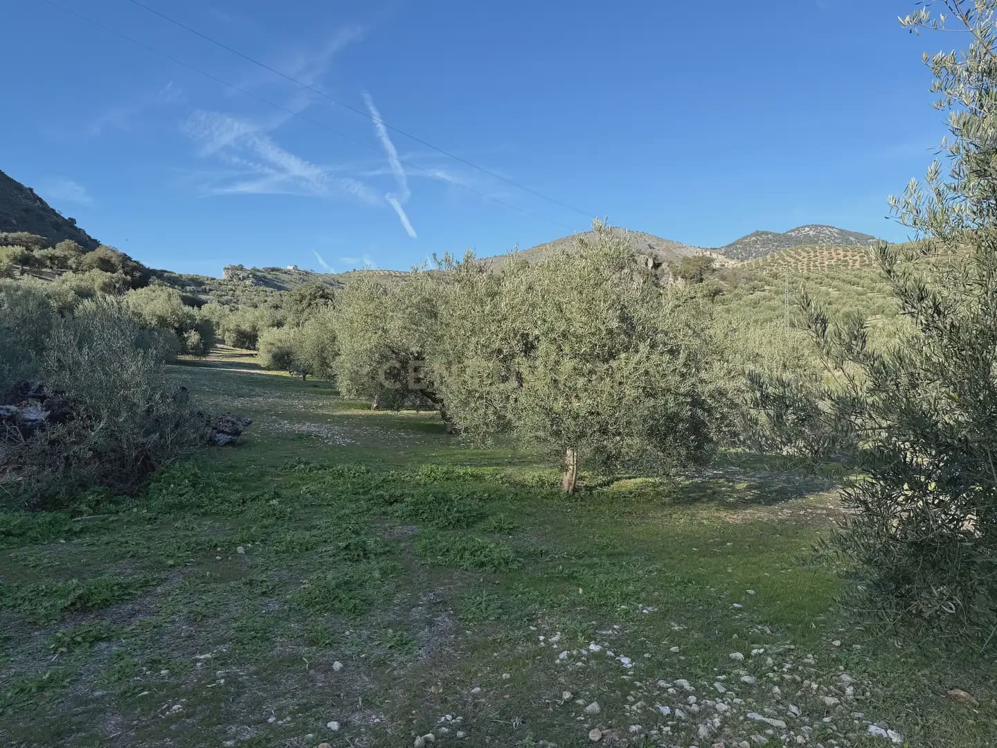 Landgrundstück zu verkaufen in Illora - 45.000 € (Ref: 9948510)