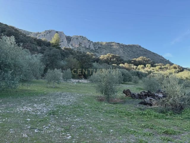 Landgrundstück zu verkaufen in Illora - 45.000 € (Ref: 9948510)
