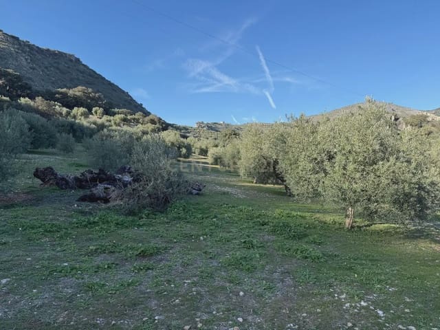 Landgrundstück zu verkaufen in Illora - 45.000 € (Ref: 9948510)