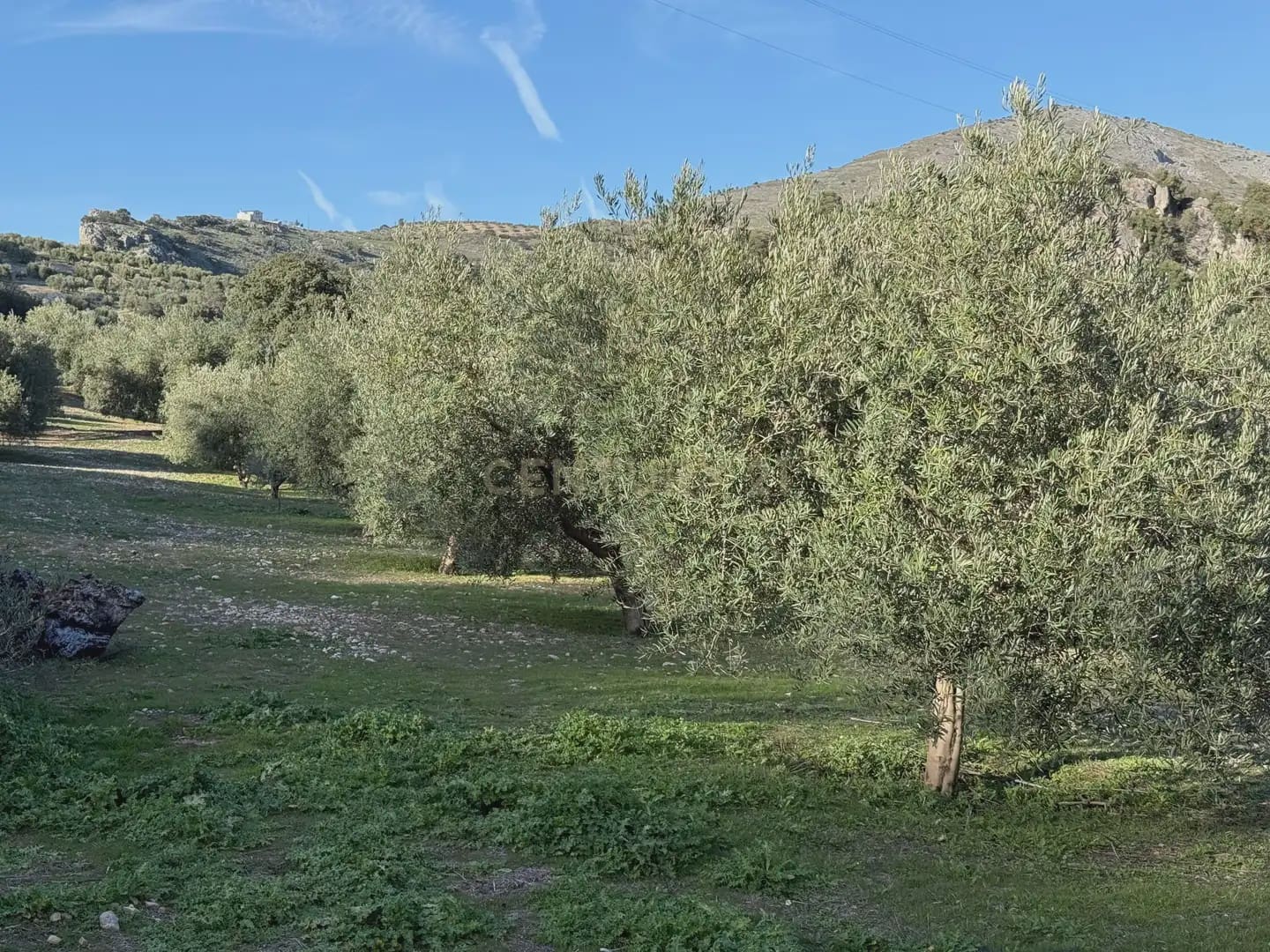 Landgrundstück zu verkaufen in Illora - 45.000 € (Ref: 9948510)
