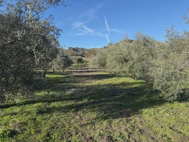 Landgrundstück zu verkaufen in Illora - 45.000 € (Ref: 9948510)
