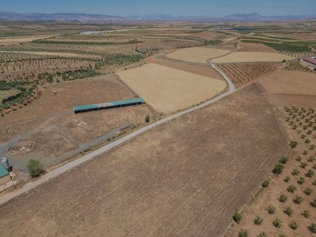 Maalaistalo myytävänä paikassa Cogollos de Guadix - 325 000 € (Ref: 9965969)
