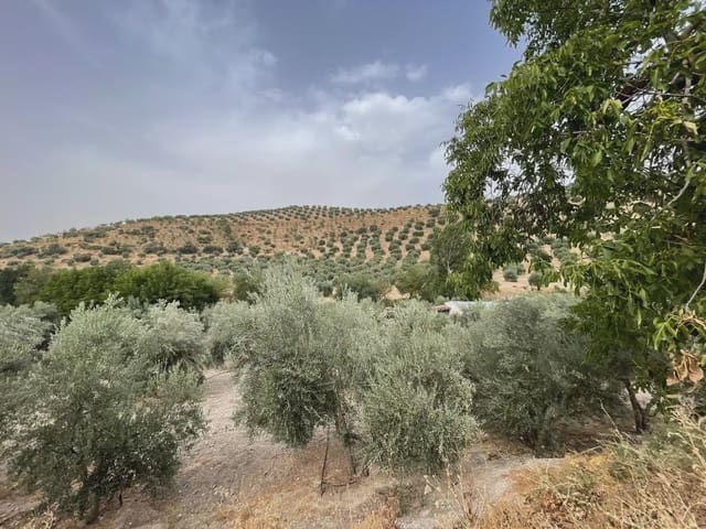 Terreno/Finca Rústica en Illora en venta - 59.000 € (Ref: 9984367)