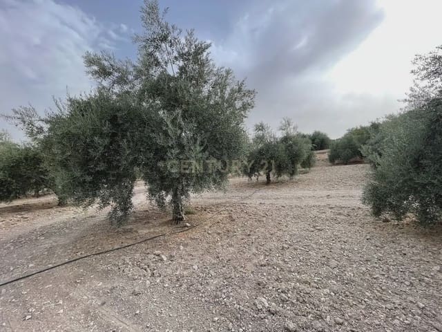 Terreno/Finca Rústica en Illora en venta - 59.000 € (Ref: 9984367)