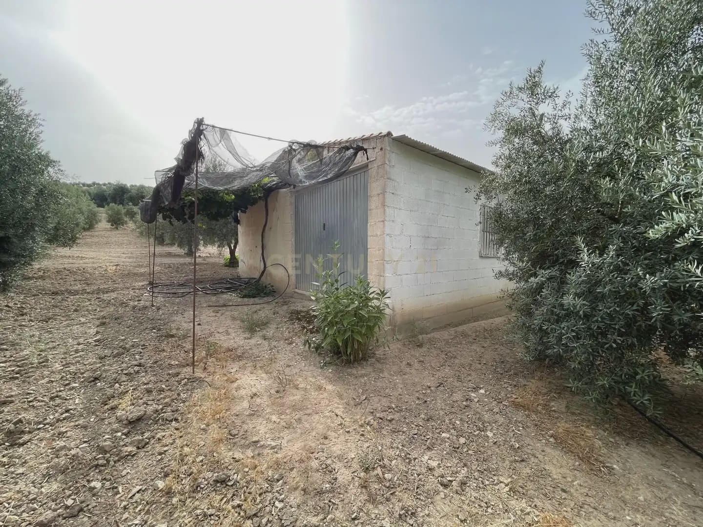 Teren niezagospodarowany na sprzedaż w Illora - 59 000 € (Ref: 9984367)