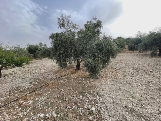 Terreno/Finca Rústica en Illora en venta - 59.000 € (Ref: 9984367)