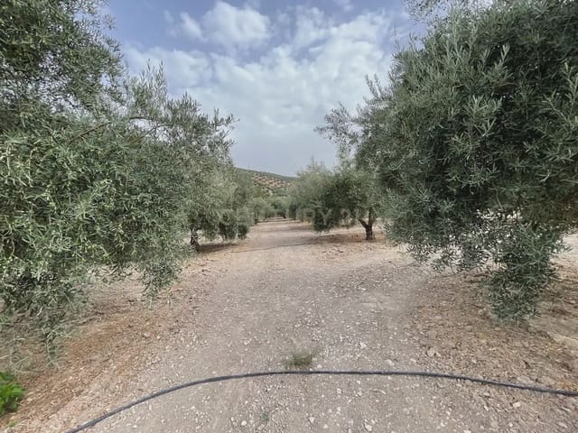 Terreno/Finca Rústica en Illora en venta - 59.000 € (Ref: 9984367)