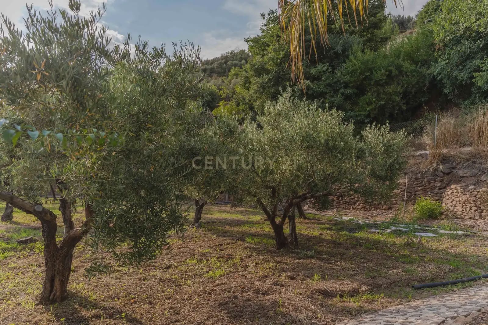 2 Zimmer Finca/Landgut zu verkaufen in Lanjaron mit Pool Garage - 1.300.000 € (Ref: 9996537)