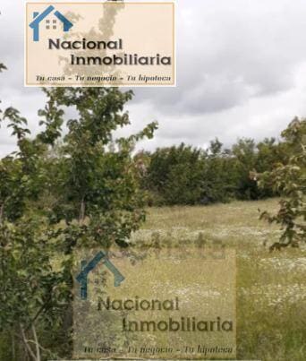 Building Plot for sale in Santo Tome del Puerto - € 40,000 (Ref: 9765360)