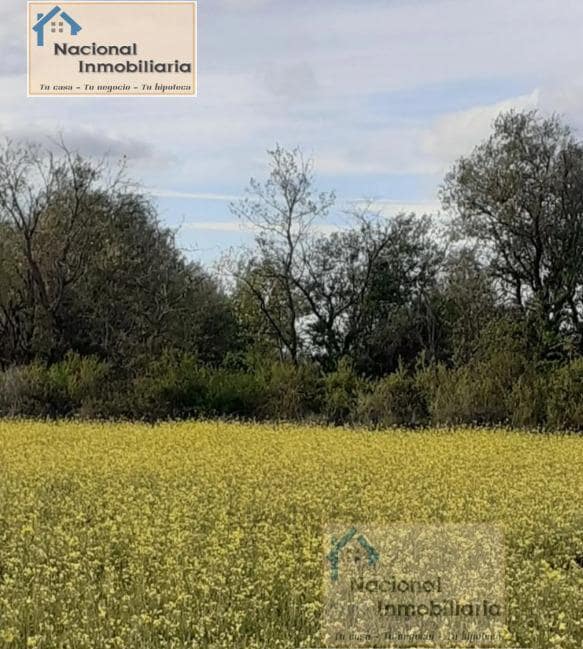 Building Plot for sale in Santo Tome del Puerto - € 40,000 (Ref: 9765360)