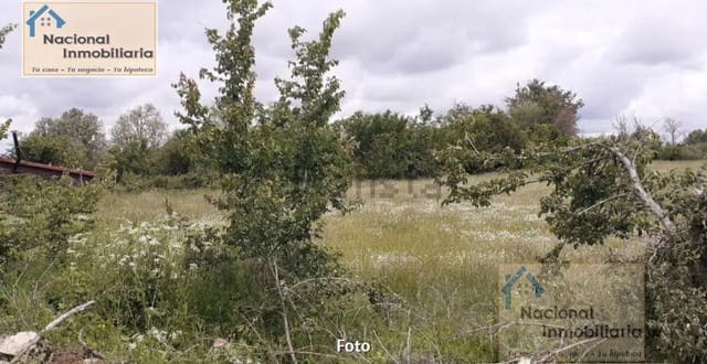 Building Plot for sale in Santo Tomé del Puerto - € 40,000 (Ref: 9765360)