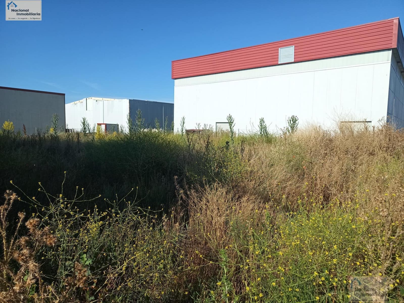 Business for sale in Olmedo - € 199,500 (Ref: 9765408)