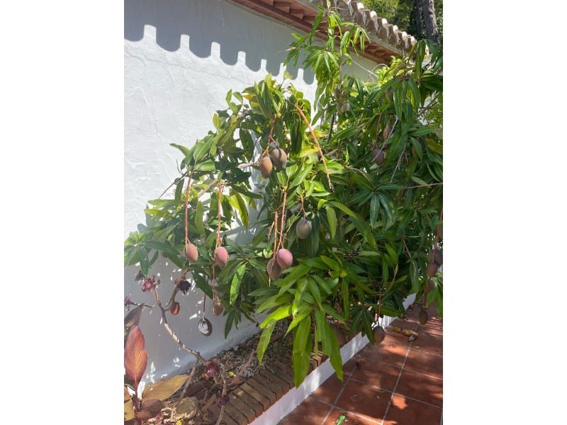 5 quarto Moradia para venda em Javea / Xabia com piscina - 995 000 € (Ref: 9149201)