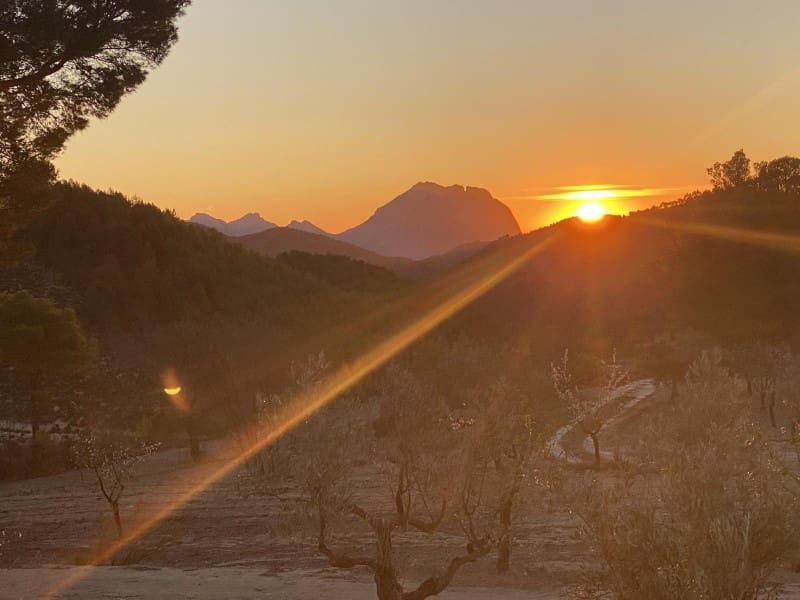 7 bedroom Finca/Country House for sale in La Torre de les Macanes with pool garage - € 1,550,000 (Ref: 9390845)