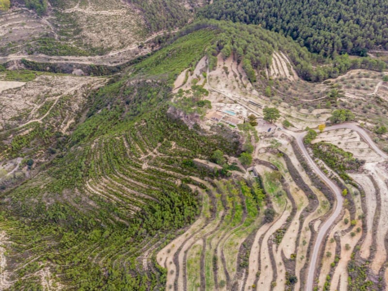 7 bedroom Finca/Country House for sale in La Torre de les Macanes with pool garage - € 1,550,000 (Ref: 9390845)