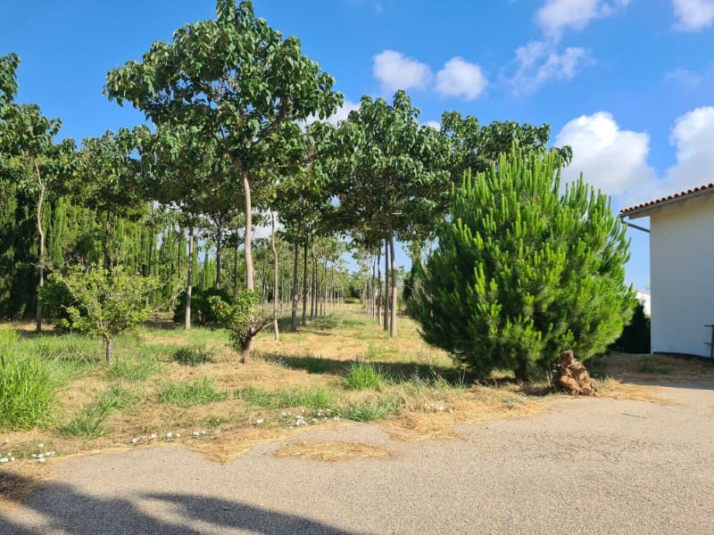 3 soveværelse Finca/Landehus til salg i Pedreguer med garage - € 600.000 (Ref: 9842782)
