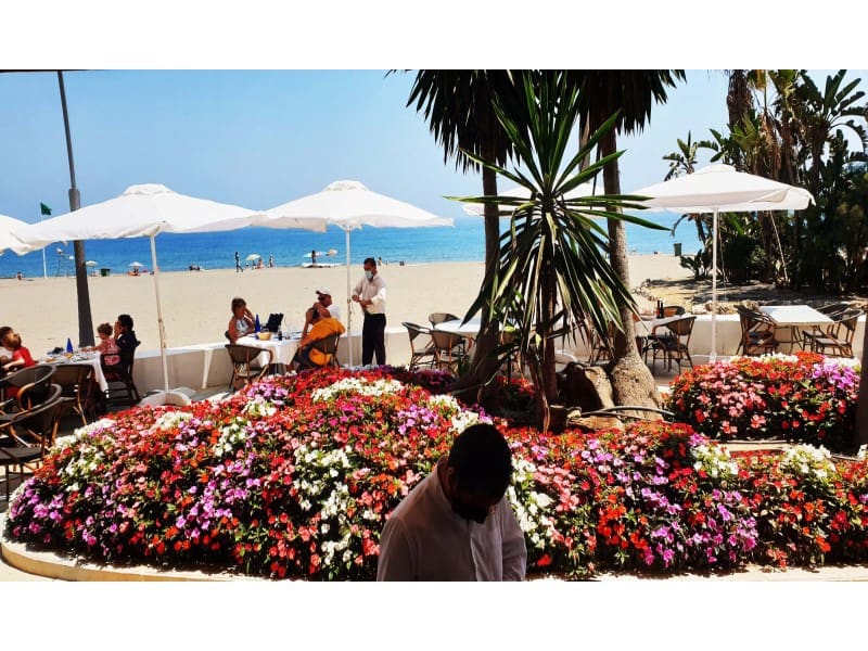 Leilighet til salgs i Estepona med svømmebasseng garasje - € 595 400 (Ref: 6306733)