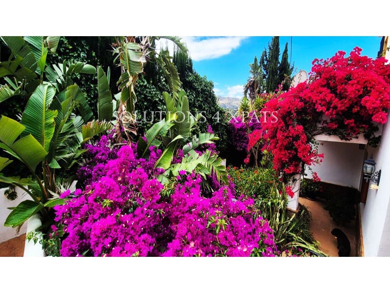 5 soveværelse Villa til salg i Vinuela med swimmingpool garage - € 525.000 (Ref: 8999633)