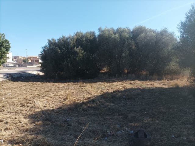 Tomt till salu i El Vergel / Verger - 300 000 € (Ref: 8075067)