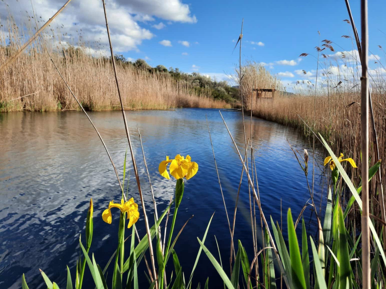 3 soveværelse Byhus til salg i Denia med swimmingpool garage - € 395.000 (Ref: 8627216)