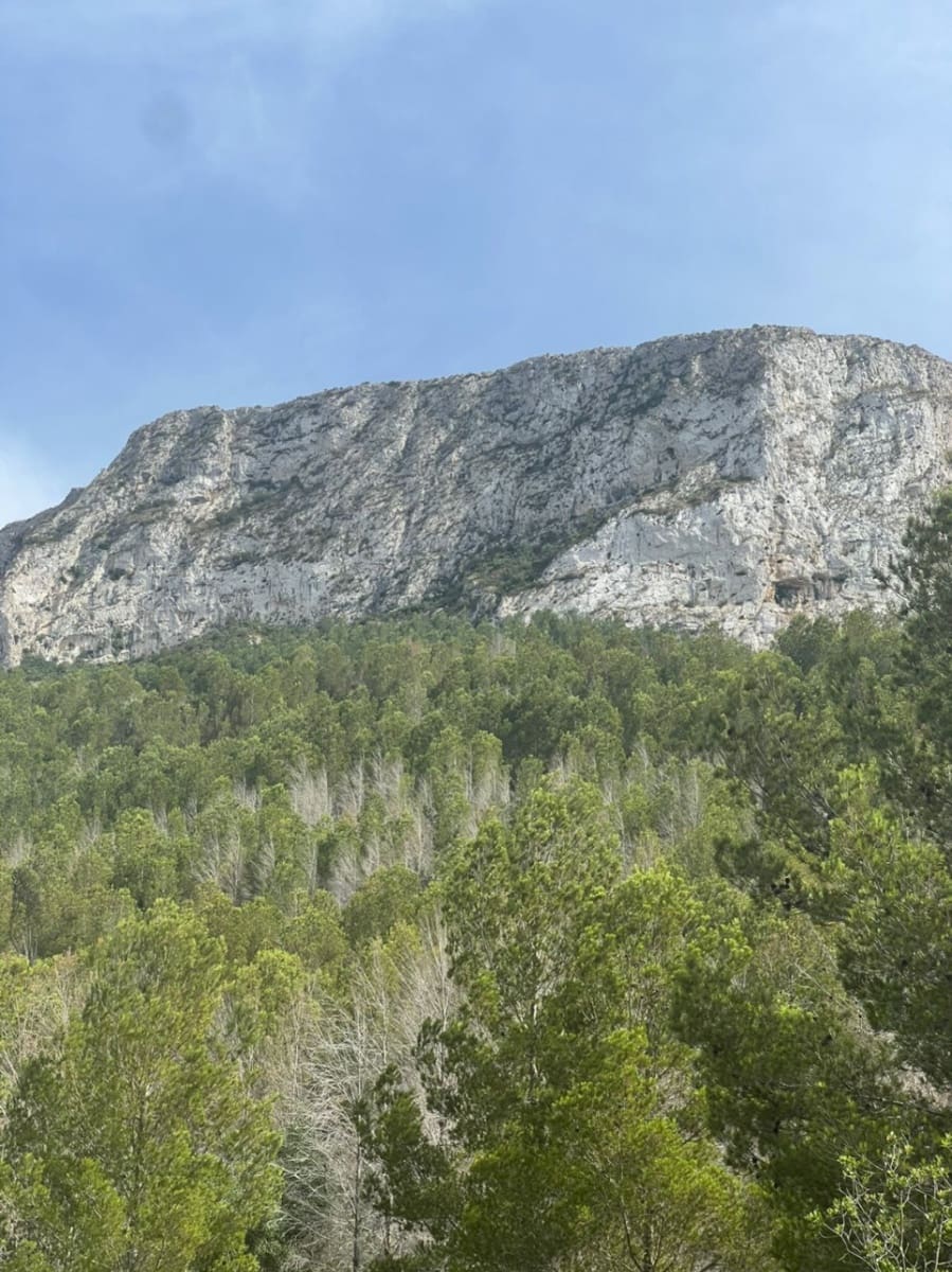 4 soverom Villa til salgs i Denia med svømmebasseng garasje - € 595 000 (Ref: 9050451)