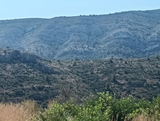 Bouwgrond te koop in Benidoleig - € 260.000 (Ref: 9099458)