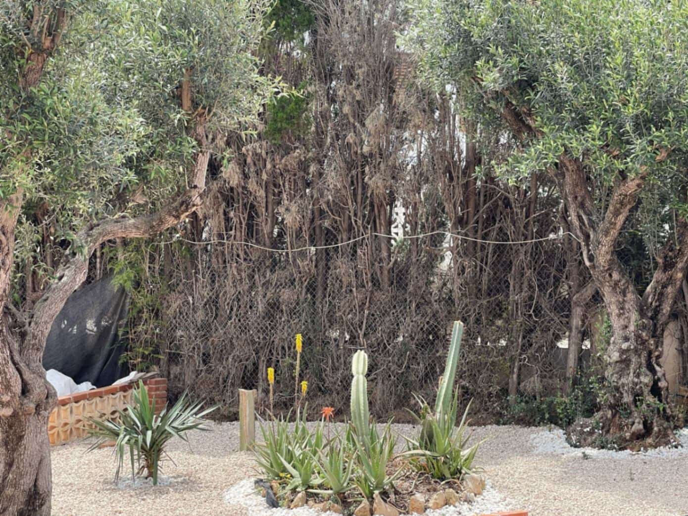 4 soveværelse Villa til salg i Denia med swimmingpool garage - € 790.000 (Ref: 9126121)