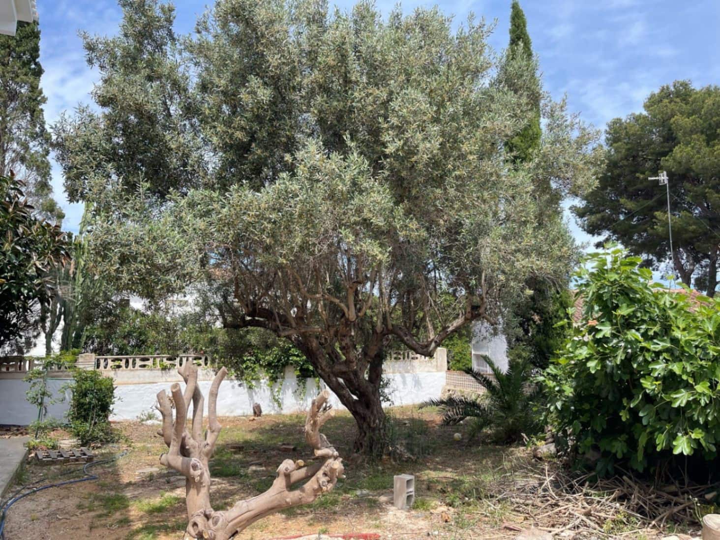 4 soveværelse Villa til salg i Denia med swimmingpool garage - € 790.000 (Ref: 9126121)