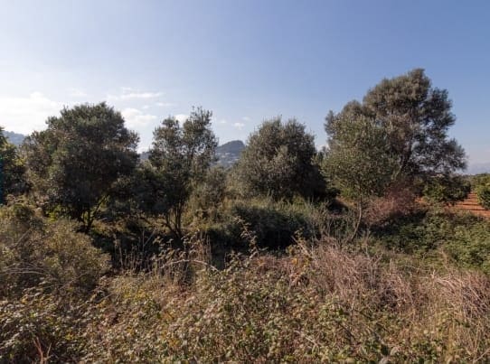 Tomt till salu i La Sella - 98 000 € (Ref: 9133937)