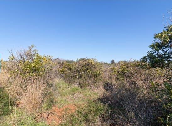 Byggetomt til salgs i La Sella - € 98 000 (Ref: 9133937)