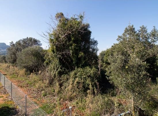 Tomt till salu i La Sella - 98 000 € (Ref: 9133937)