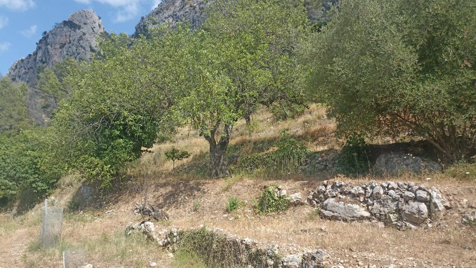 1 soveværelse Finca/Landehus til salg i Benirrama - € 120.000 (Ref: 9134008)