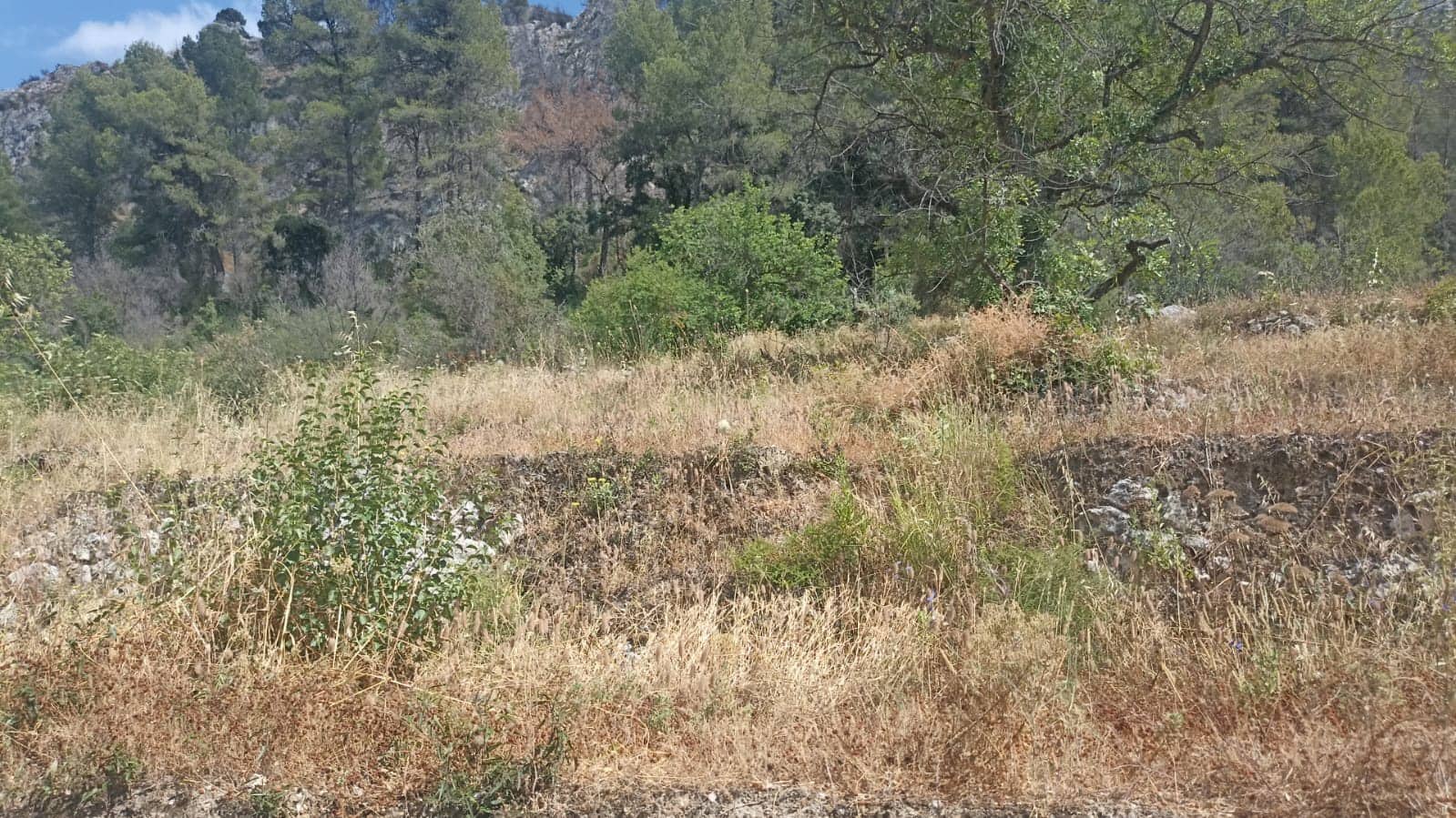 1 soveværelse Finca/Landehus til salg i Benirrama - € 120.000 (Ref: 9134008)