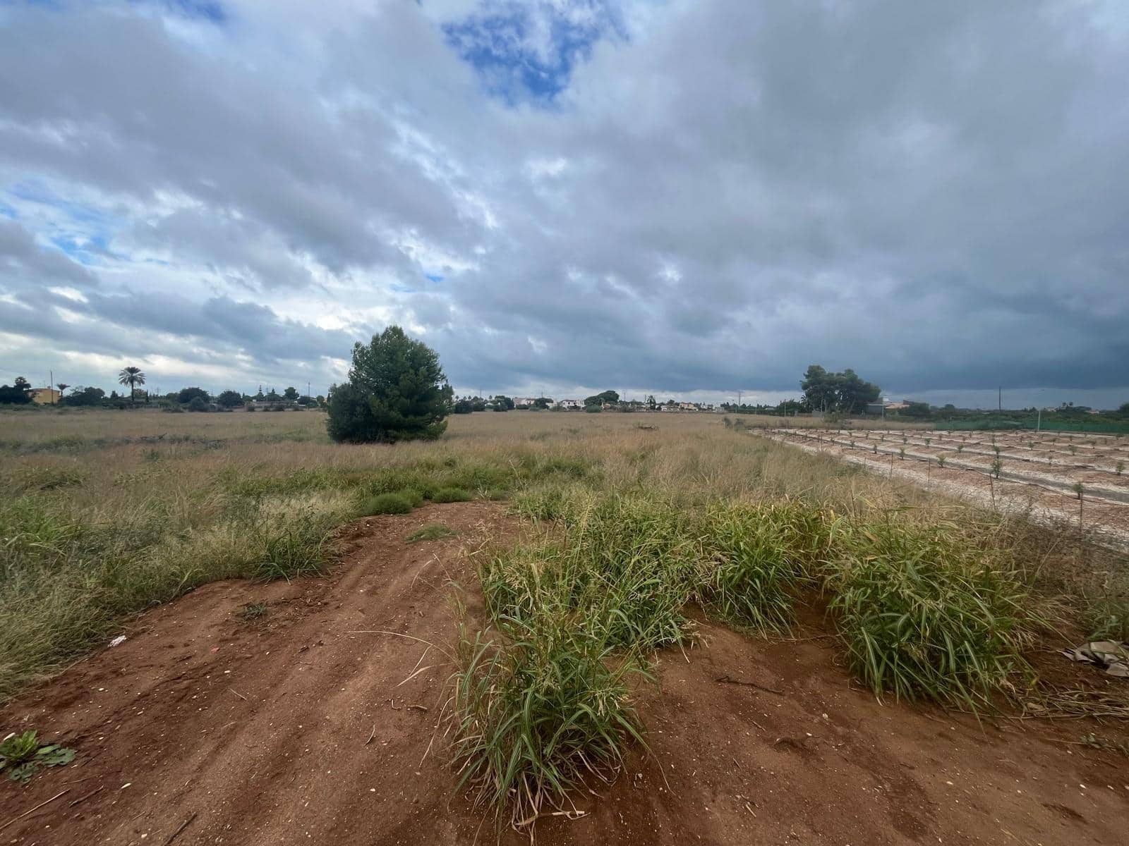 Tomt till salu i El Vergel / Verger - 499 000 € (Ref: 9270571)