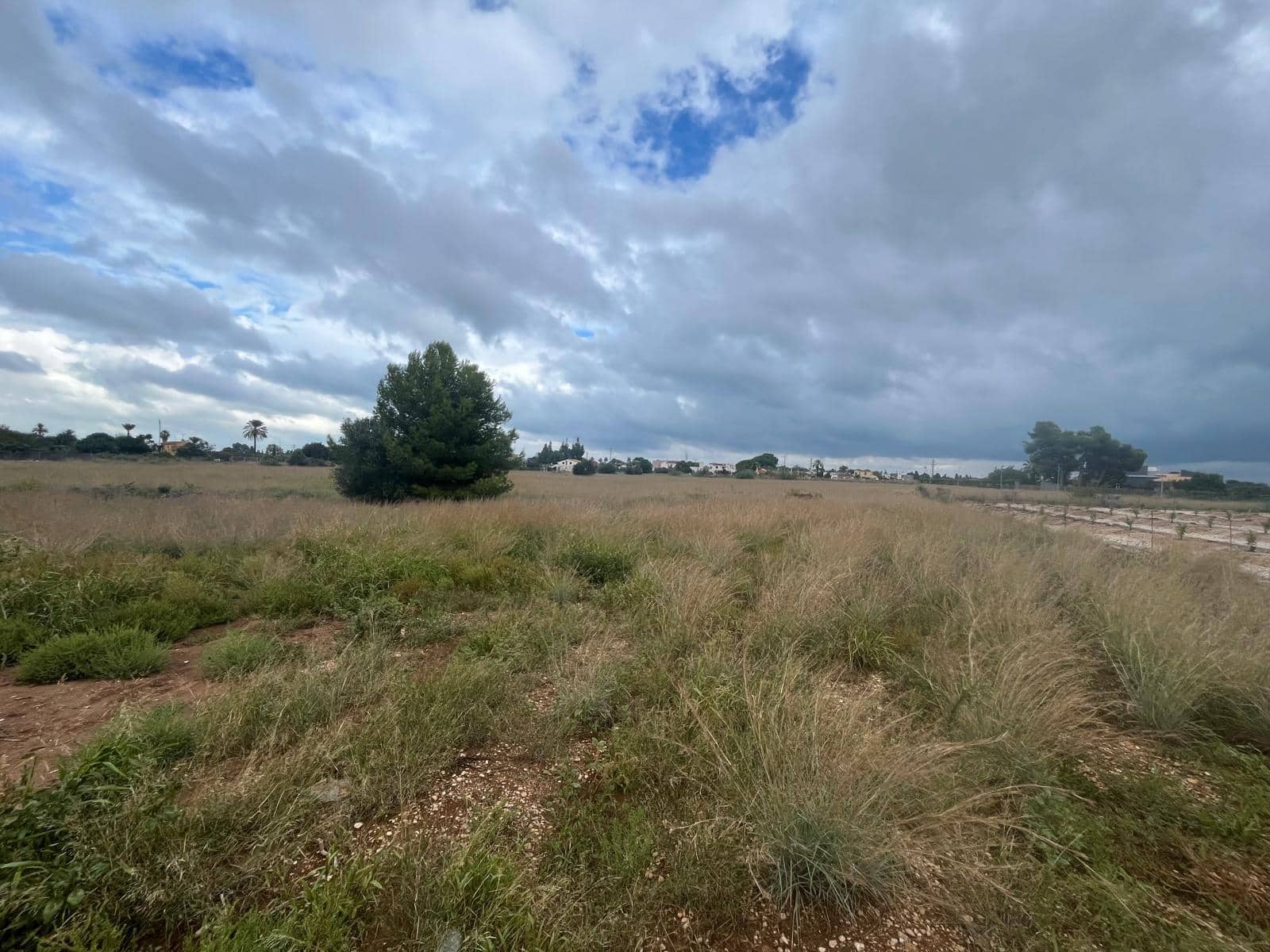 Tomt till salu i El Vergel / Verger - 499 000 € (Ref: 9270571)