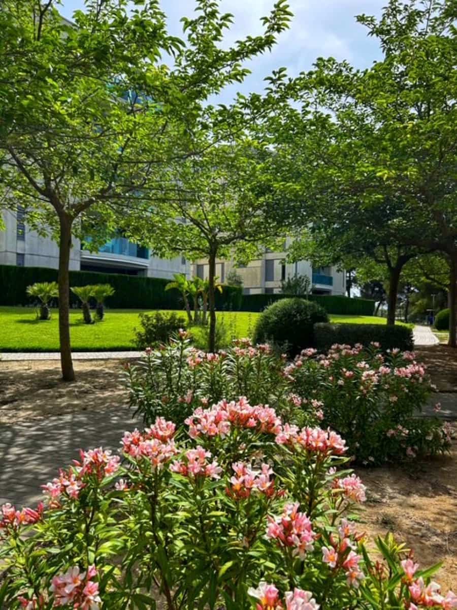 1 sypialnia Apartament na sprzedaż w El Vergel / Verger z basenem garażem - 190 000 € (Ref: 9449801)