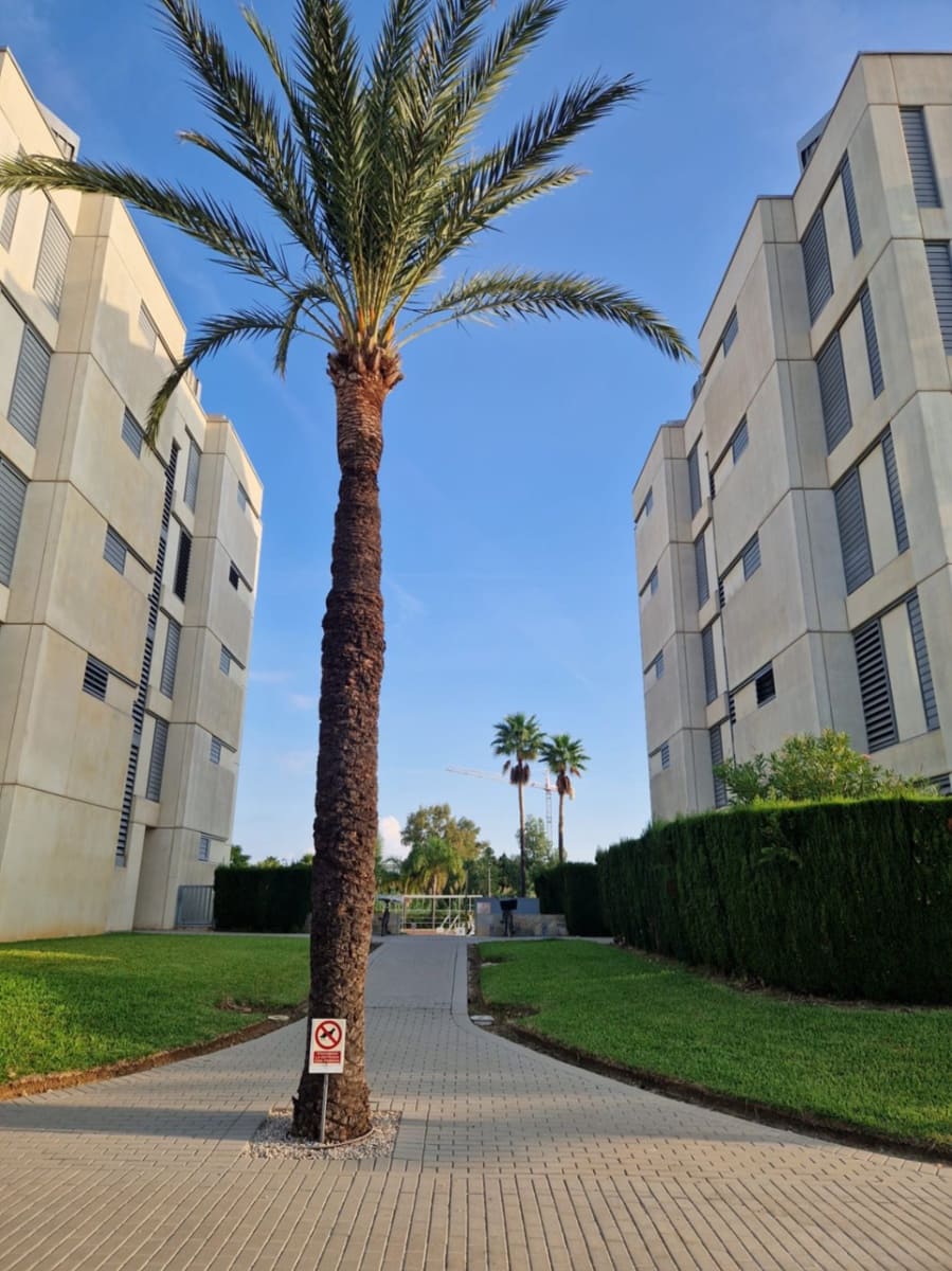 1 sypialnia Apartament na sprzedaż w El Vergel / Verger z basenem garażem - 190 000 € (Ref: 9449801)