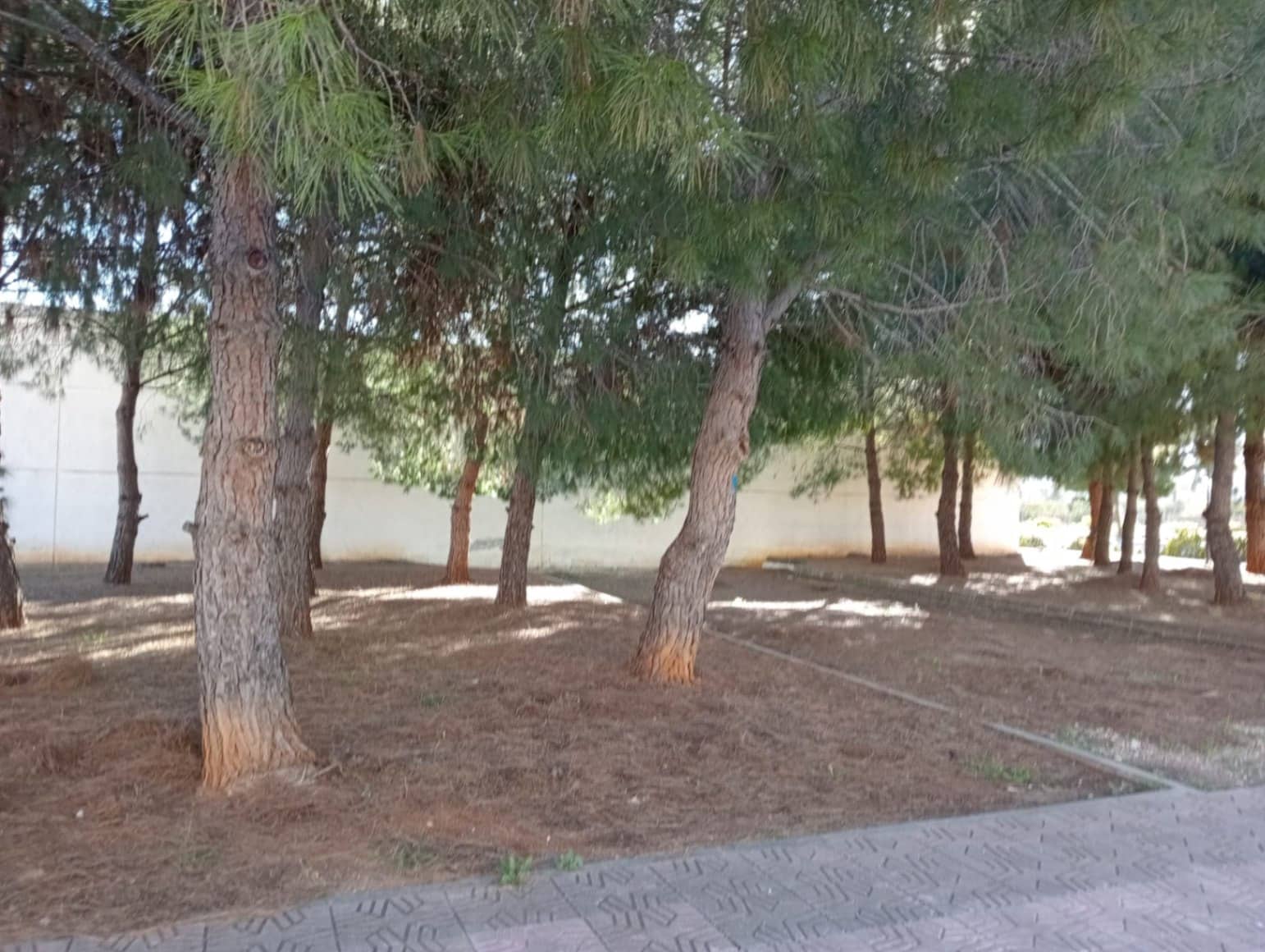 3 Zimmer Haus zu verkaufen in Els Poblets mit Pool Garage - 280.000 € (Ref: 9503114)