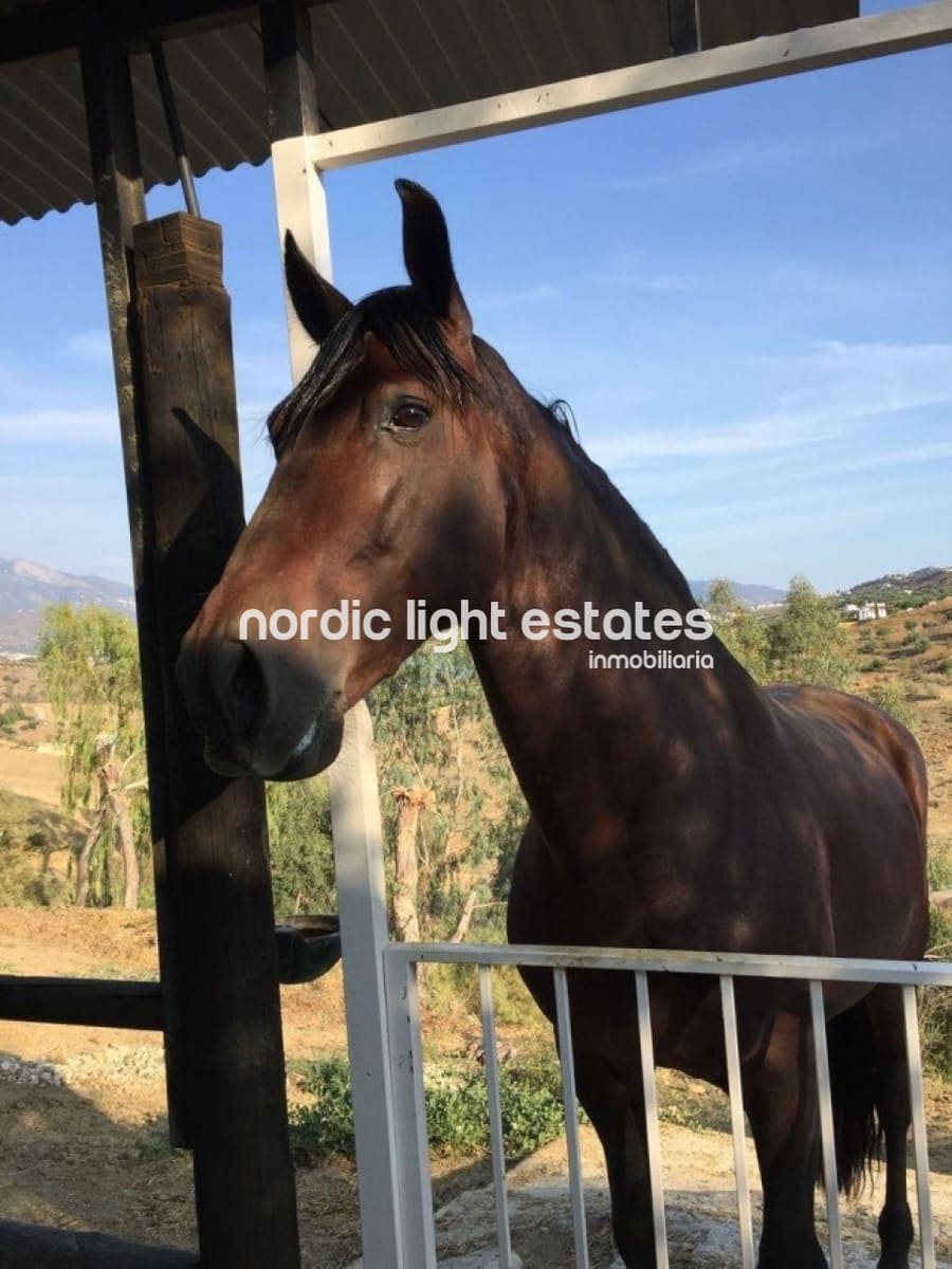 6 sypialnia Willa na sprzedaż w Vinuela z basenem garażem - 820 000 € (Ref: 8558782)