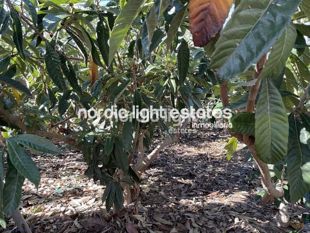 3 sypialnia Willa na sprzedaż w Torrox-Costa, Torrox - 375 000 € (Ref: 8796194)