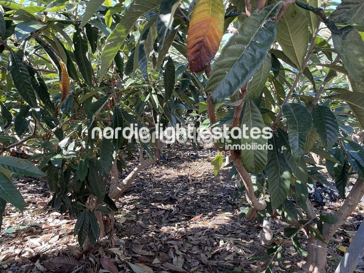 3 bedroom Villa for sale in Torrox-Costa - € 375,000 (Ref: 8796194)