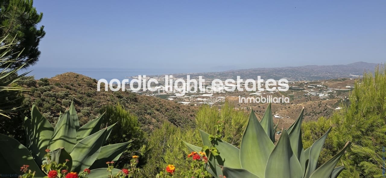 3 soveværelse Villa til salg i Sayalonga med swimmingpool garage - € 698.000 (Ref: 9131651)