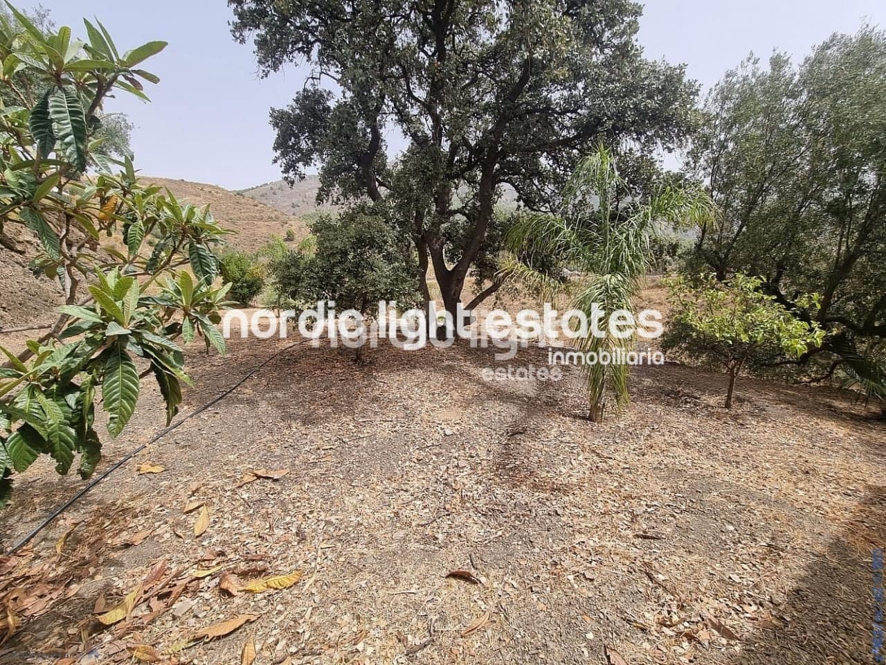 3 soveværelse Finca/Landehus til salg i Canillas de Aceituno med garage - € 265.000 (Ref: 9219016)