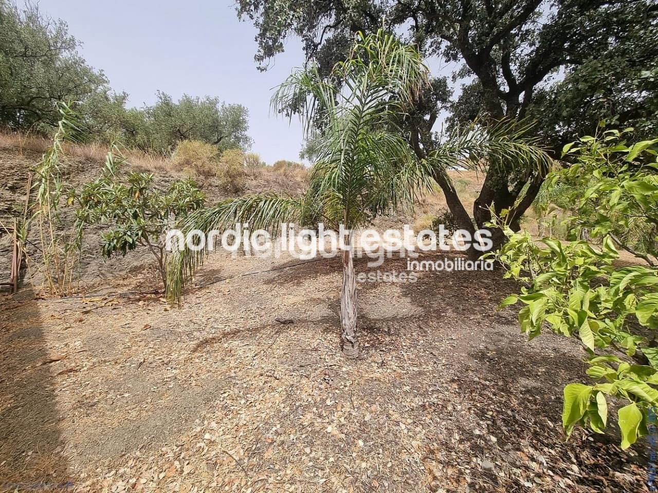 3 soveværelse Finca/Landehus til salg i Canillas de Aceituno med garage - € 265.000 (Ref: 9219016)