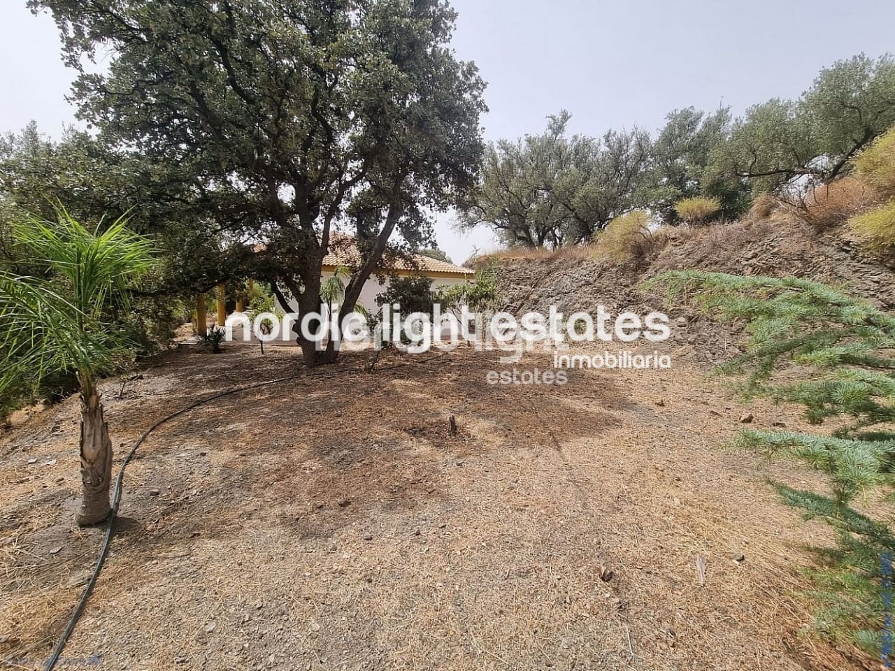 3 soveværelse Finca/Landehus til salg i Canillas de Aceituno med garage - € 265.000 (Ref: 9219016)