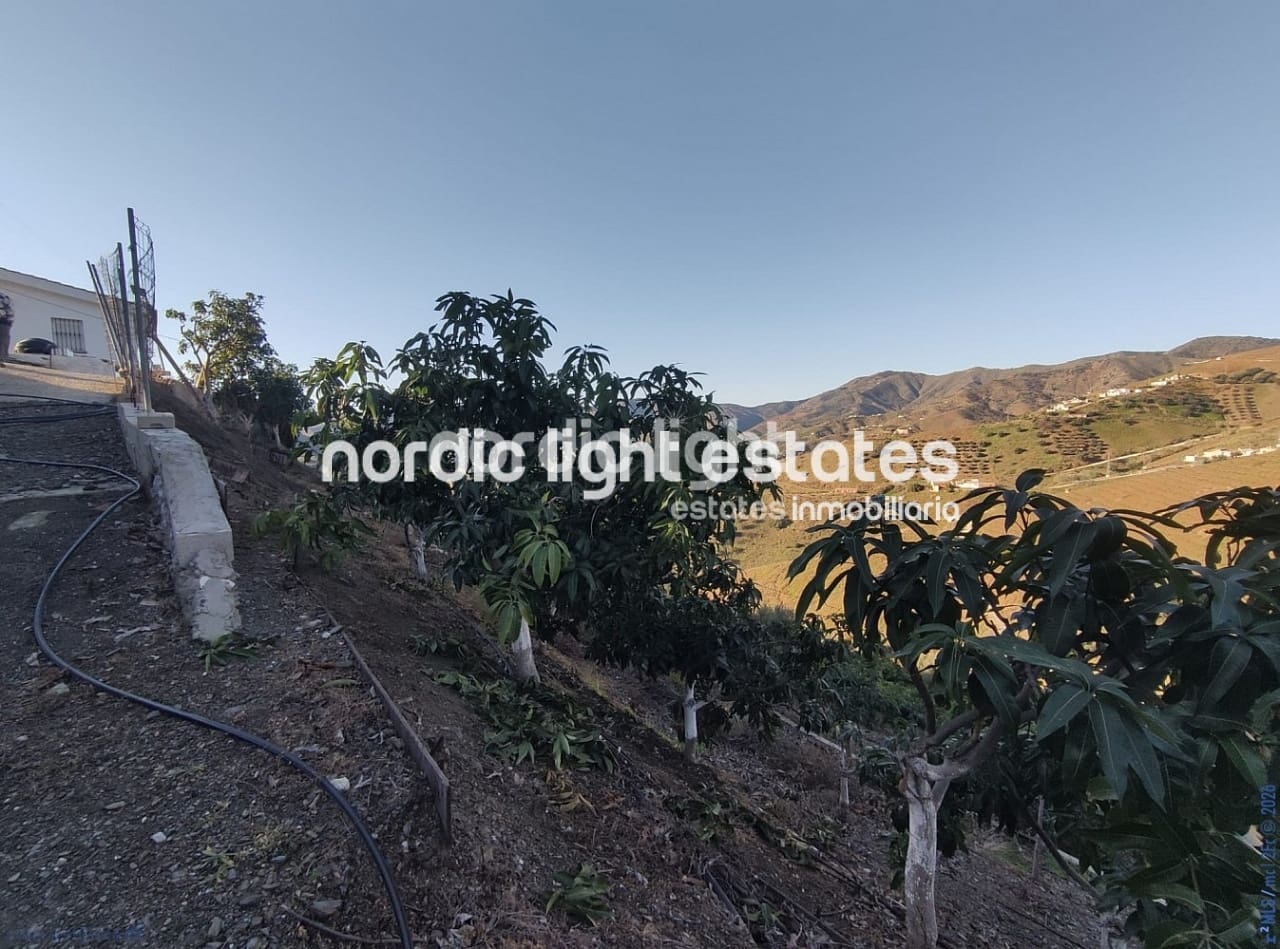 5 bedroom Finca/Country House for sale in El Borge with pool garage - € 340,000 (Ref: 9693996)