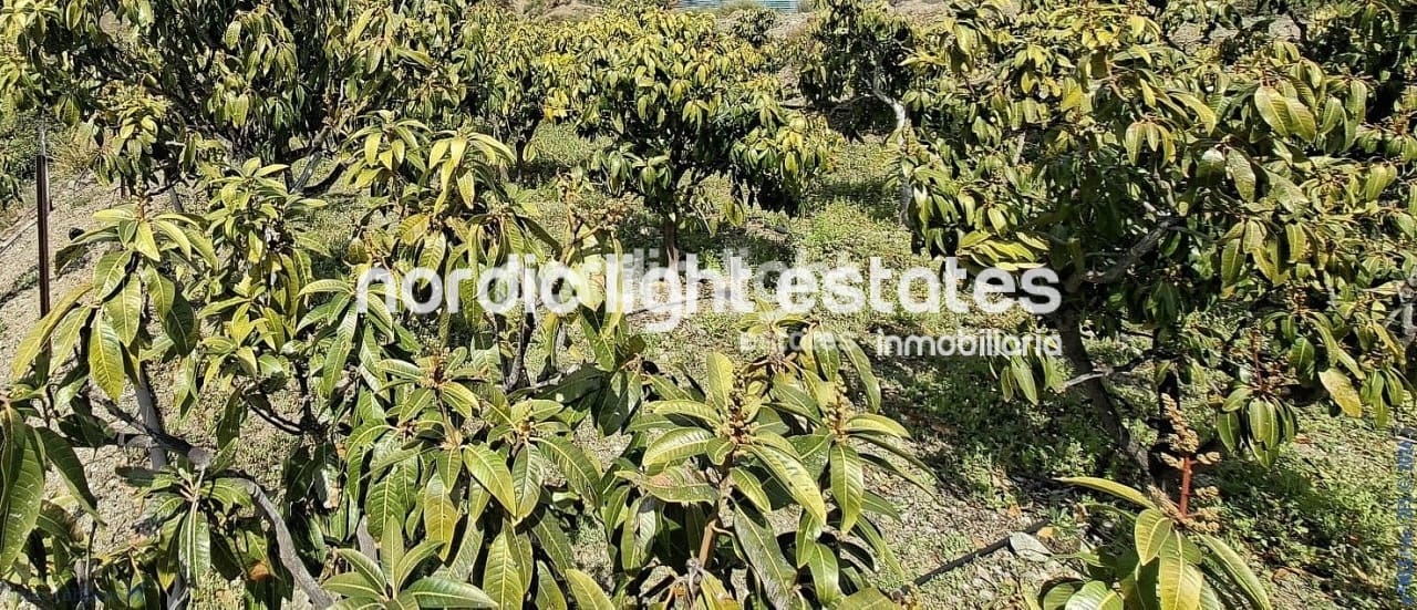 5 bedroom Finca/Country House for sale in Velez-Malaga with garage - € 650,000 (Ref: 9696805)