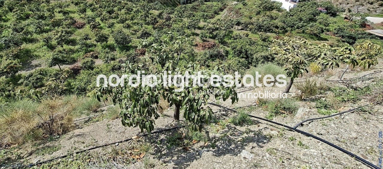 5 bedroom Finca/Country House for sale in Velez-Malaga with garage - € 650,000 (Ref: 9696805)