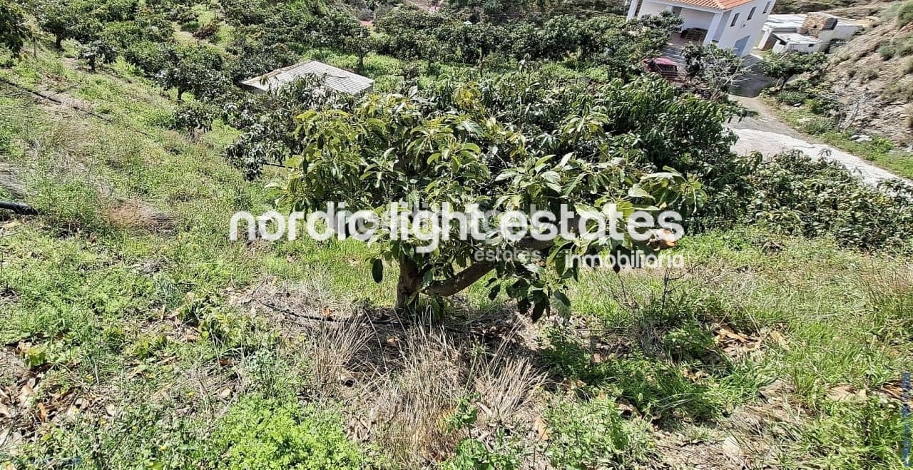 5 bedroom Finca/Country House for sale in Velez-Malaga with garage - € 650,000 (Ref: 9696805)