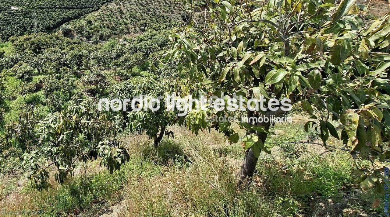 5 bedroom Finca/Country House for sale in Velez-Malaga with garage - € 650,000 (Ref: 9696805)